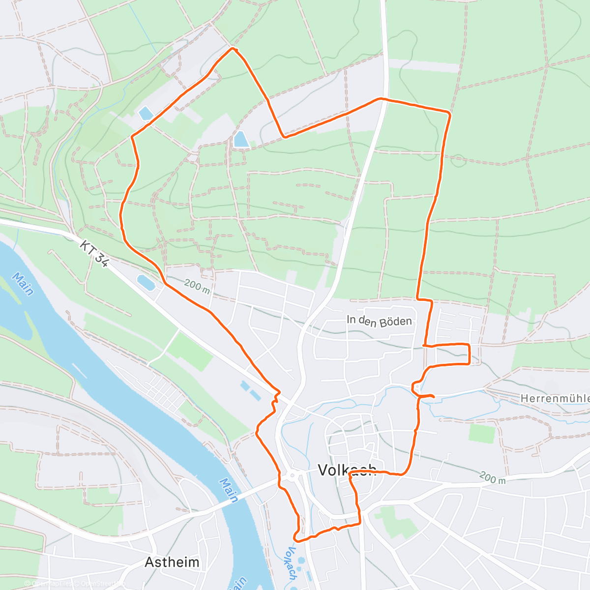 Карта физической активности (Volkacher Runde: Marienberg und City mit Schatzi ☺️)