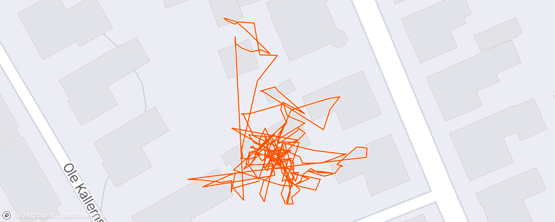 Map of the activity, Basis