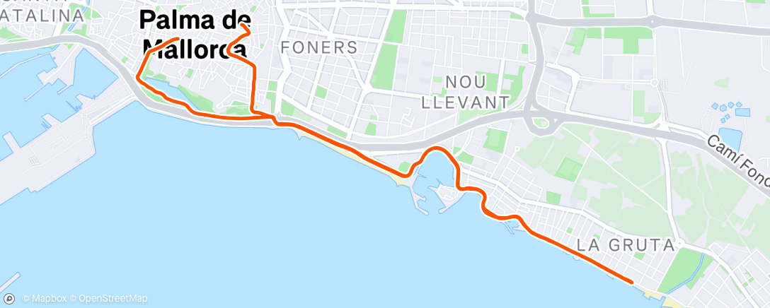 Map of the activity, Afternoon Run