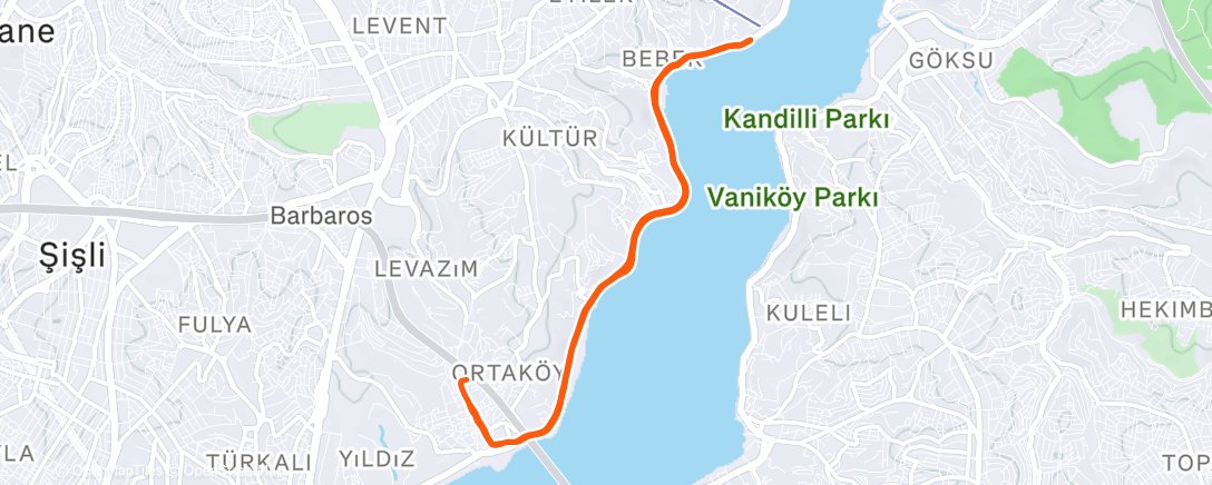 Карта физической активности (Lunch Run)