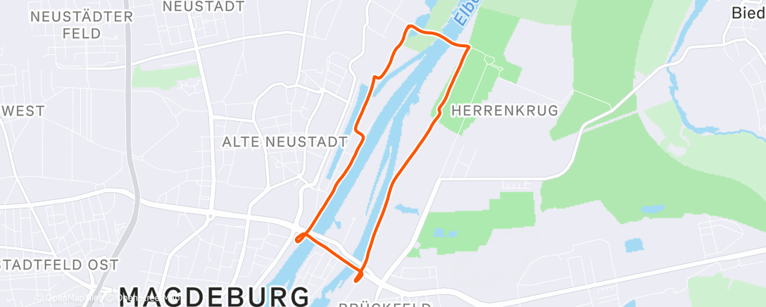 Map of the activity, Neujahrslauf