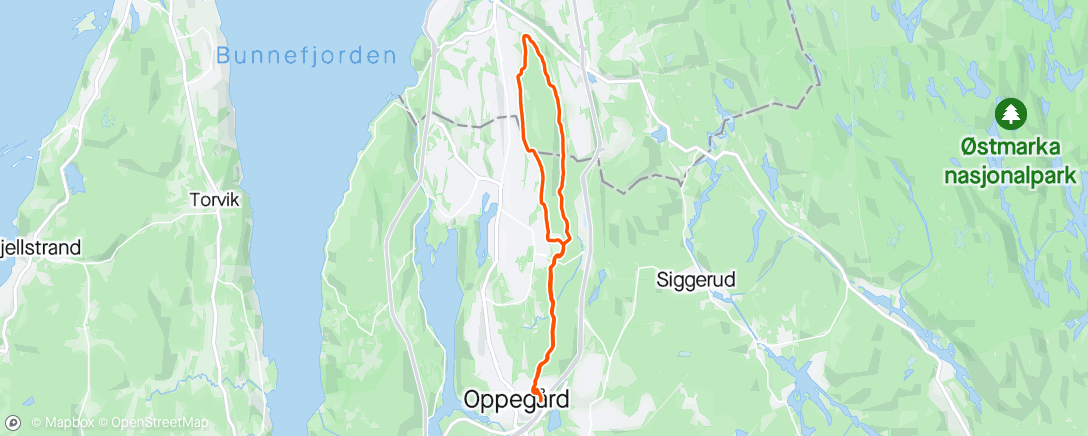 Map of the activity, Grustur rundt Grønliåsen 🏃‍♂️🏃‍♂️🏃‍♂️