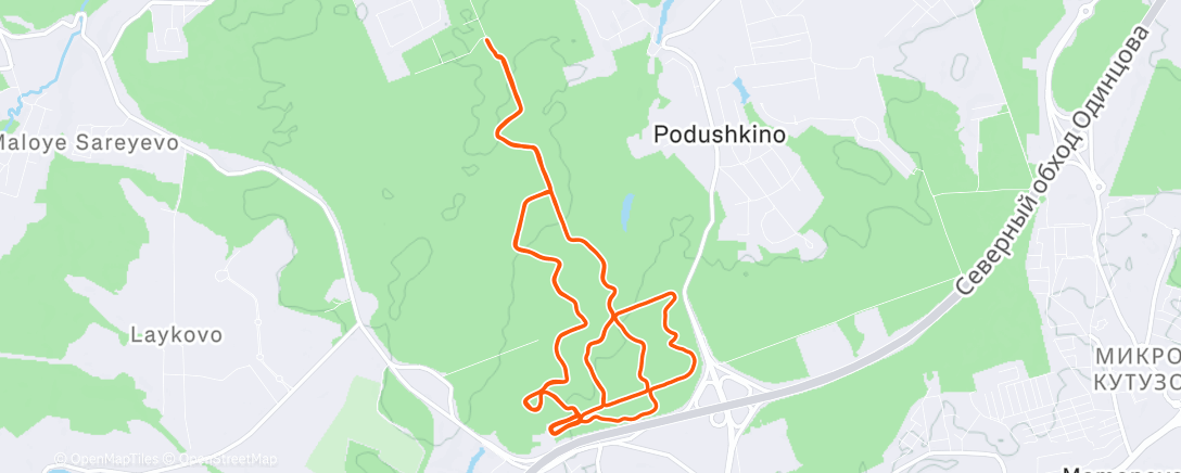 Карта физической активности (AVE снег!)