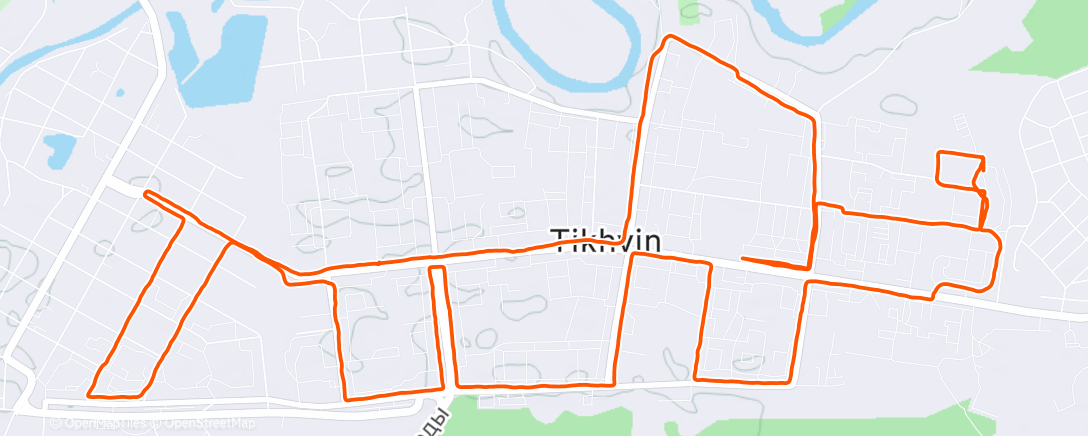 Карта физической активности (Дневной забег)