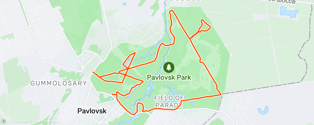 Map of the activity, Morning Run