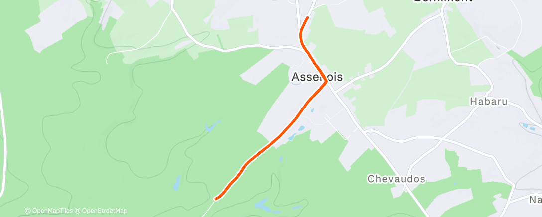 Map of the activity, Course à pied dans l'après-midi