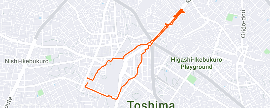 Карта физической активности (Evening walk)