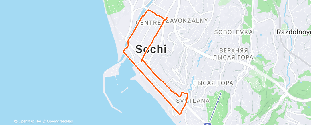 Карта физической активности (Morning Walk)