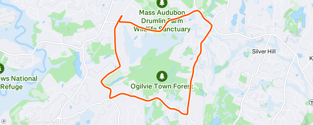 Map of the activity, Morning Run