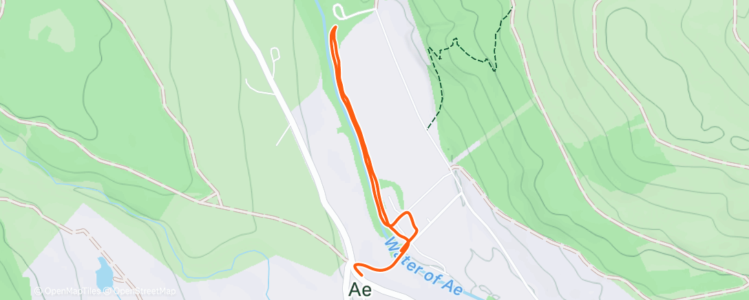 Map of the activity, Pup training