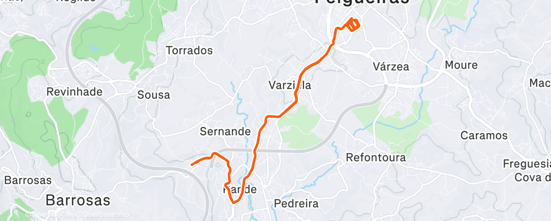 Карта физической активности (Morning Run)