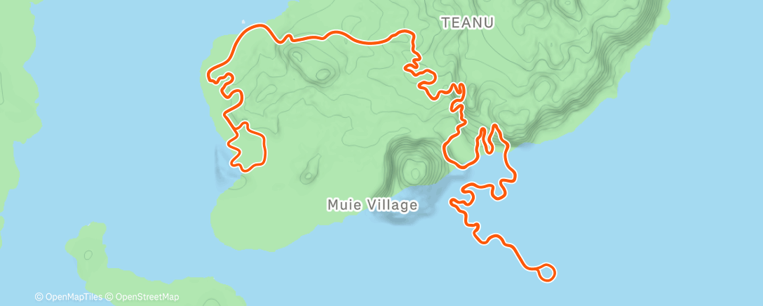 Карта физической активности (Zwift - Danger Noodle in Watopia)