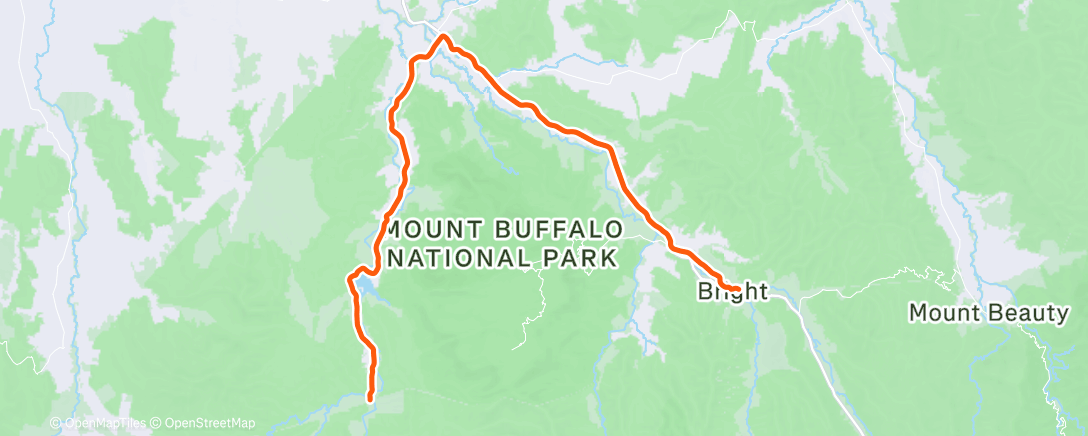 Map of the activity, 204min straight of Christmas Carols 🎵🎅