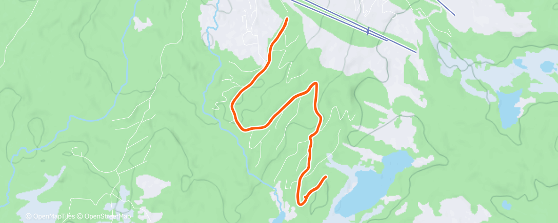 Карта физической активности (Morning Run)