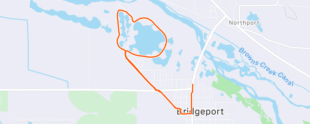 Карта физической активности (Burning cookies with Tim)