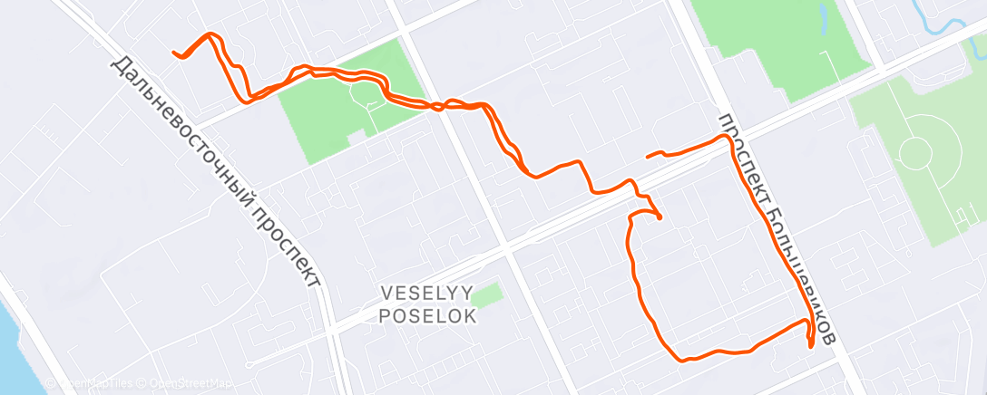 Карта физической активности (Morning Walk)