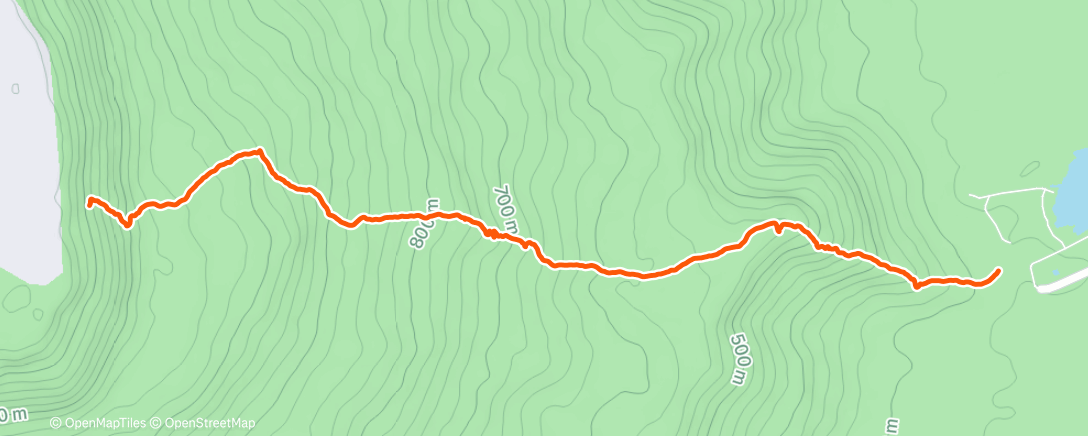 Map of the activity, Lunch Trail Run