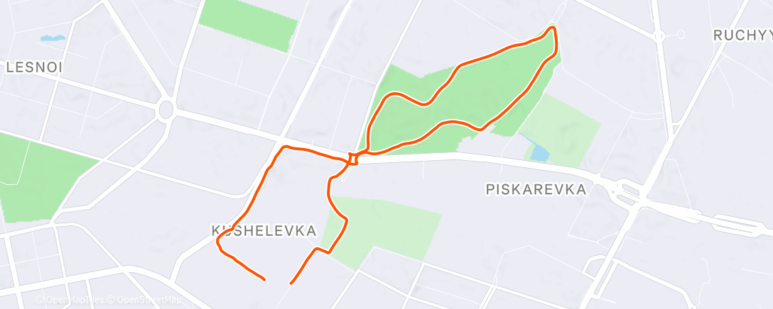 Map of the activity, Дневной забег