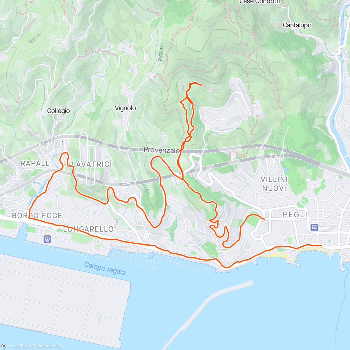 Map of the activity, Morning Trail Run Easy 🏃🤙💪