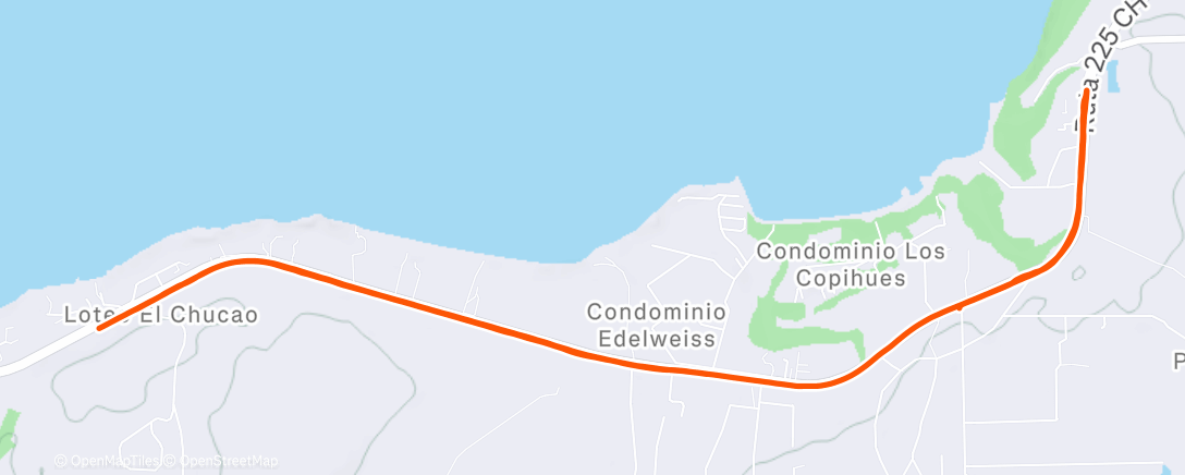 Карта физической активности (Afternoon Run)