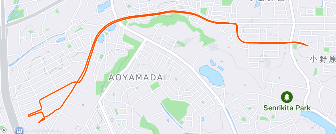 Map of the activity, Morning Ride