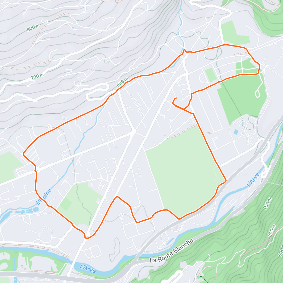 Map of the activity, Merry christmas 🎄