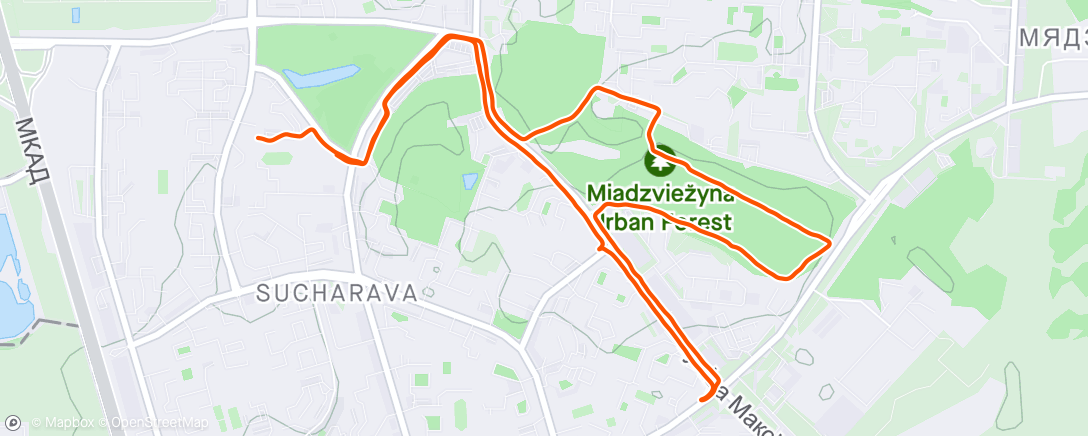 Map of the activity, Afternoon Run