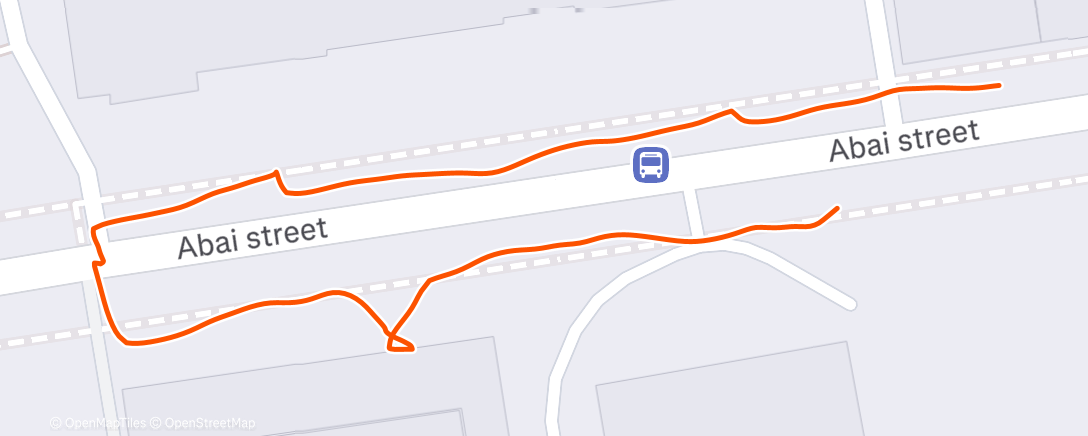 Map of the activity, Дневная прогулка