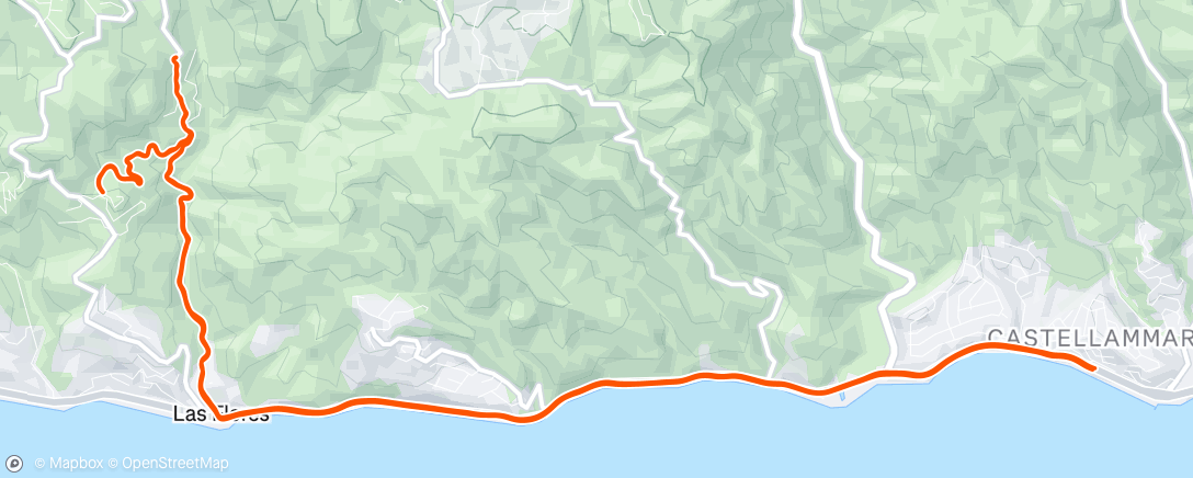 Mapa de la actividad (🚐🔙🔜CO)