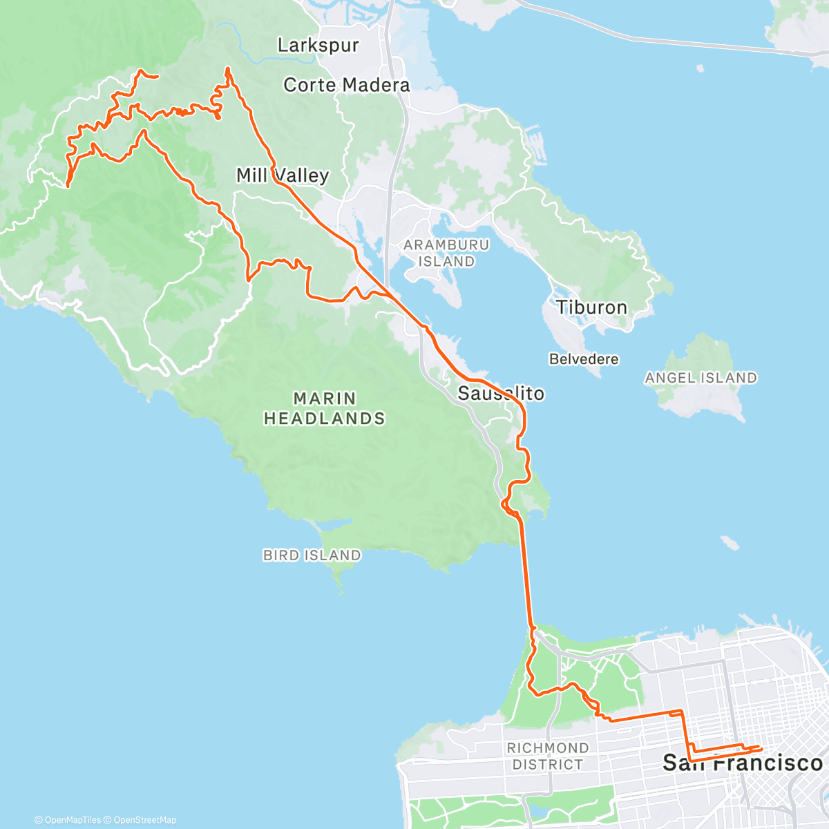 Map of the activity, Jelly mashy