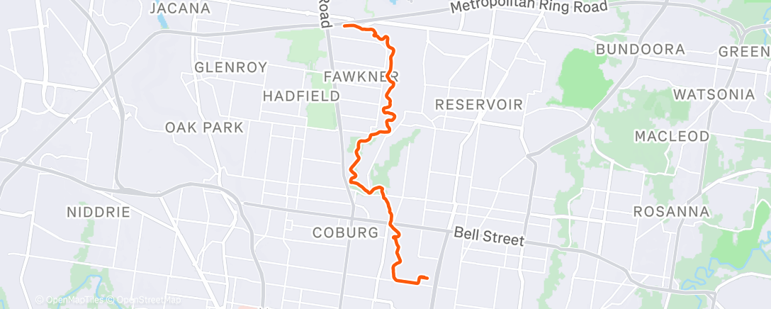 Карта физической активности (Long run)