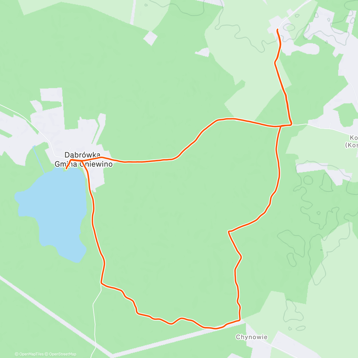Map of the activity, Morning Run