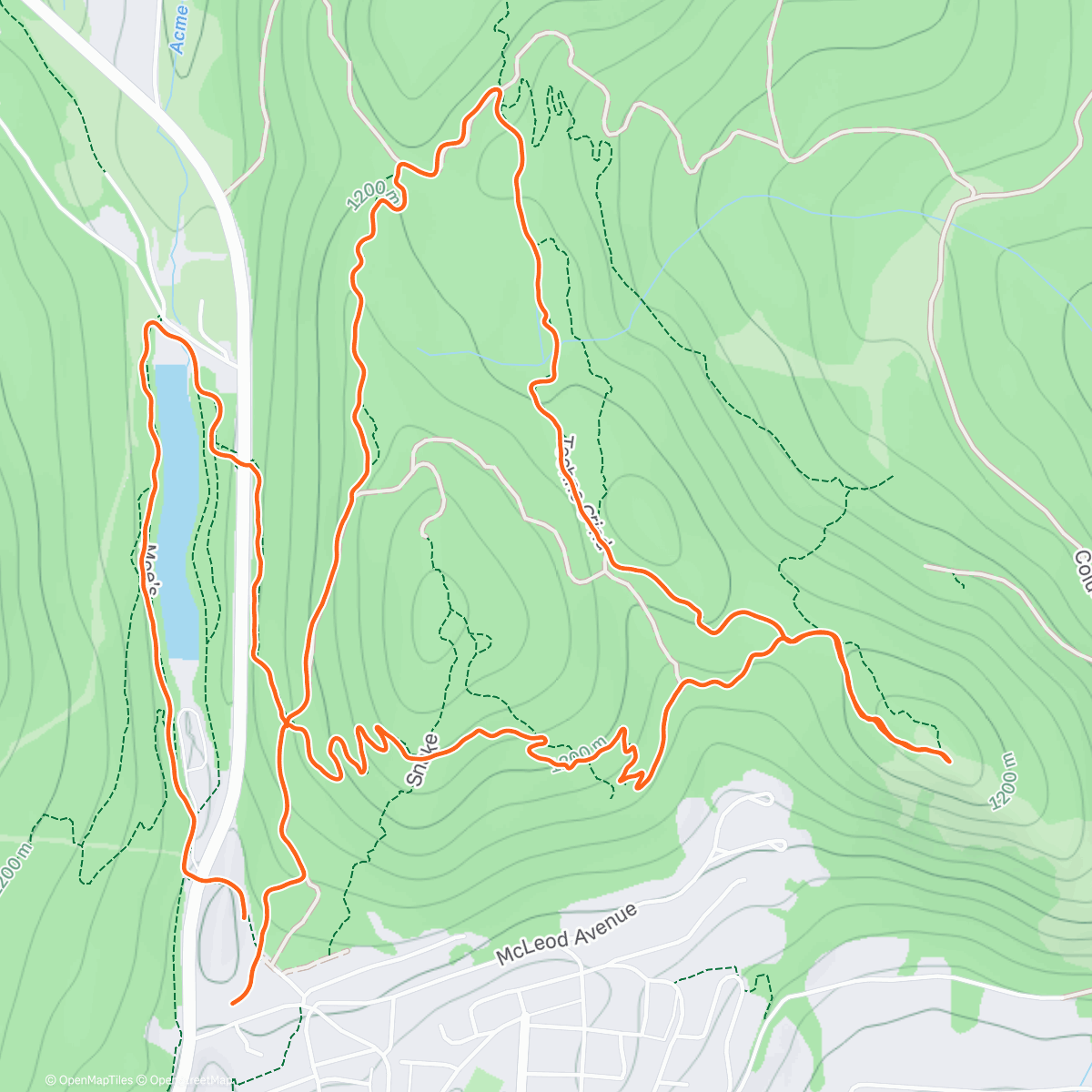 Mappa dell'attività PM: Forest City Reunion with Heath & Ian