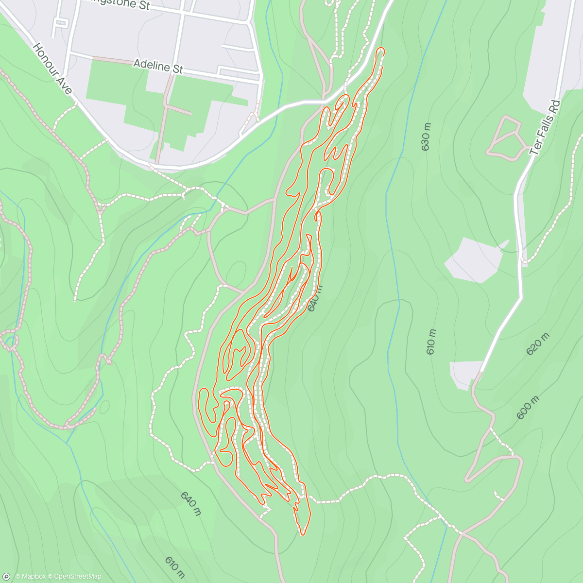 Map of the activity, Red Belly with the dogs.