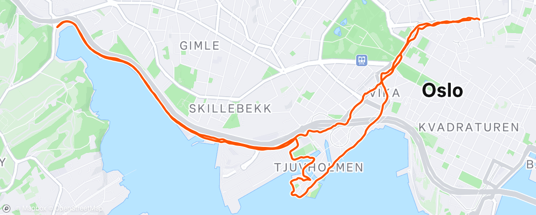 Map of the activity, Night Run