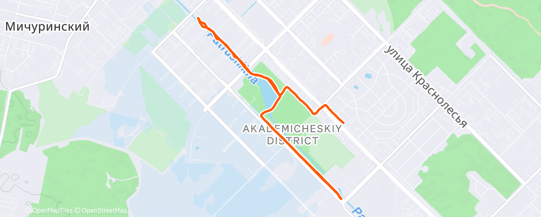 Map of the activity, Утренний забег