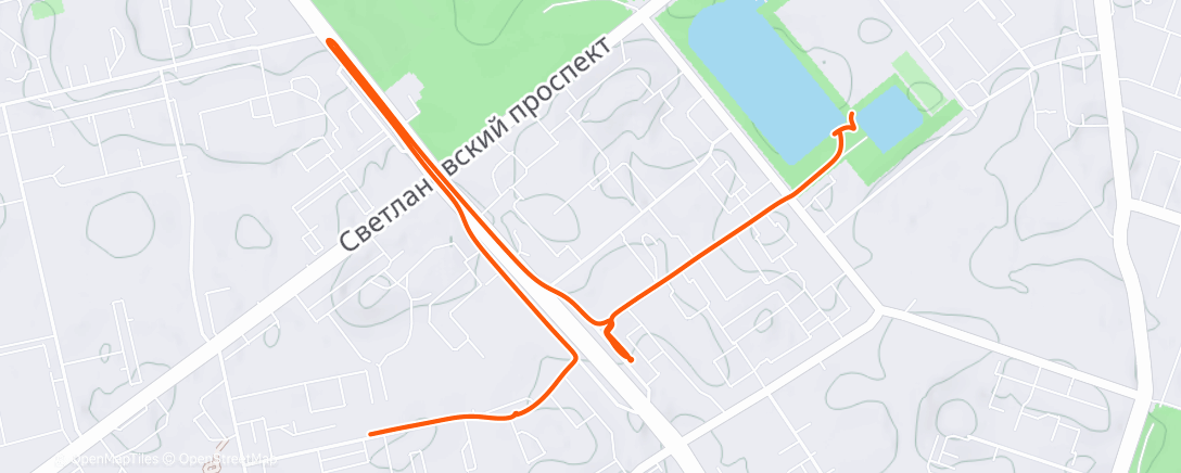 Карта физической активности (Утренний забег)