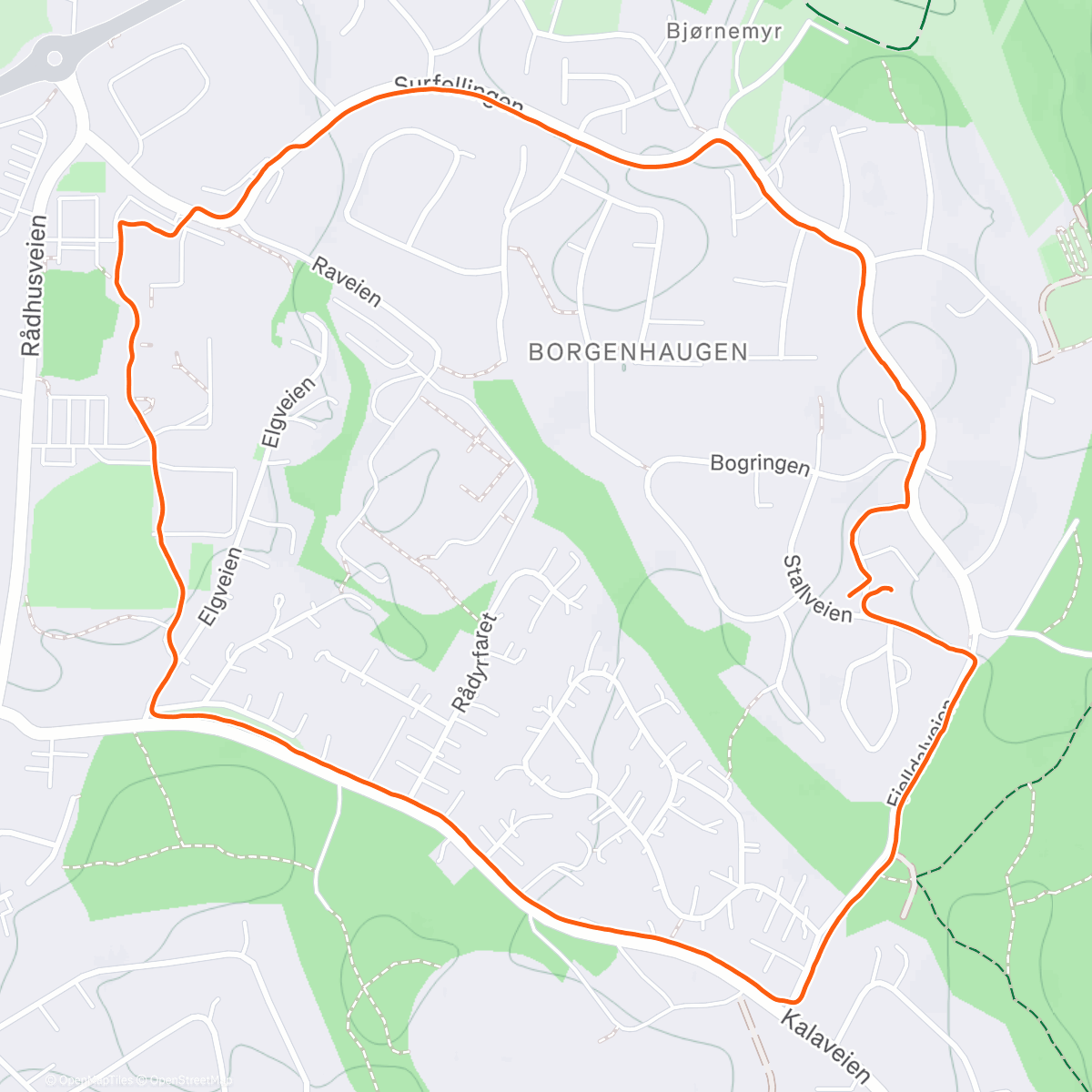 Карта физической активности (Evening Walk)