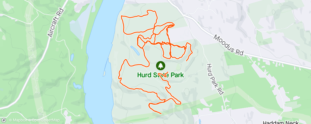 Map of the activity, Hurding around the woods
