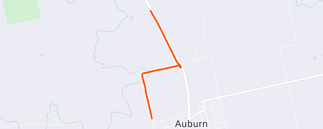 Map of the activity, Morning Run
