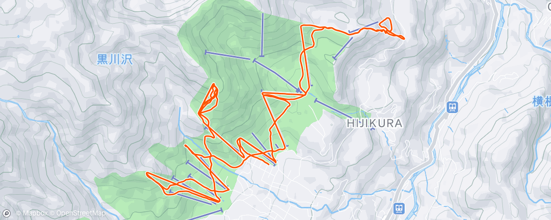 Carte de l'activité Morning Alpine Ski
