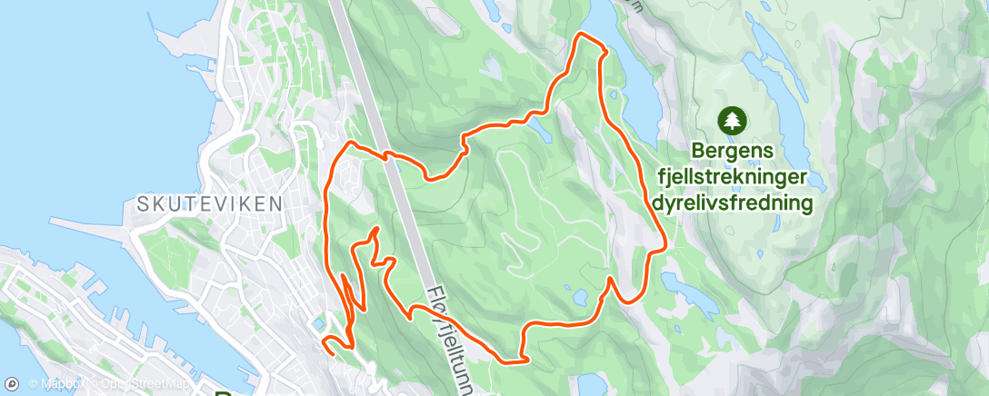 Map of the activity, Morning Trail Run