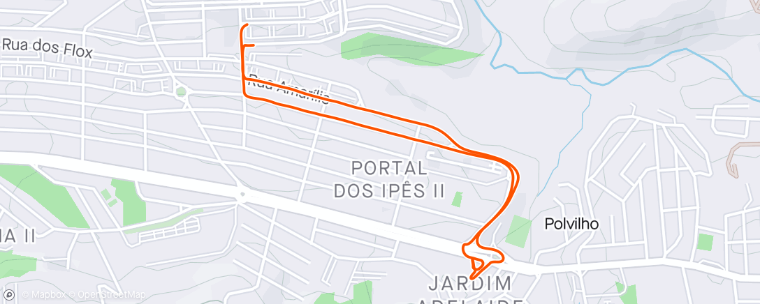 Mappa dell'attività Pedal tarde