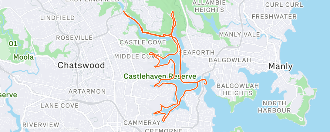 Карта физической активности (Morning Ride)