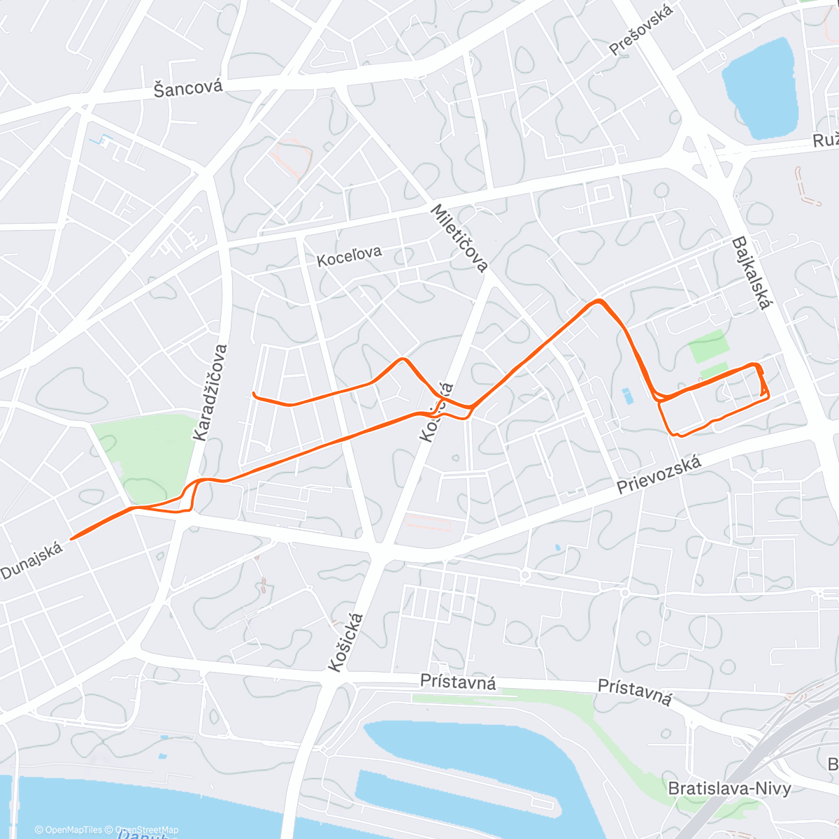 Map of the activity, 🎄✨