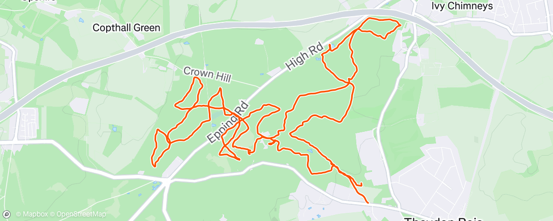Map of the activity, CHIG Regional Event - Epping Forest North (Black course)