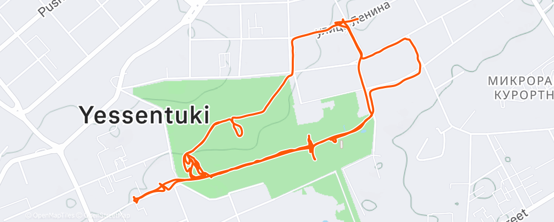 Mapa de la actividad (Полуденная ходьба)