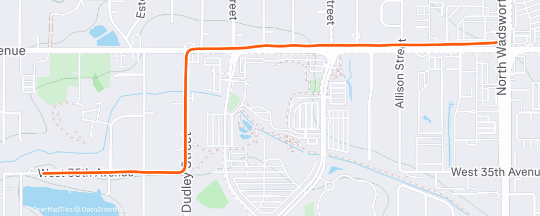 Карта физической активности (OTHER)