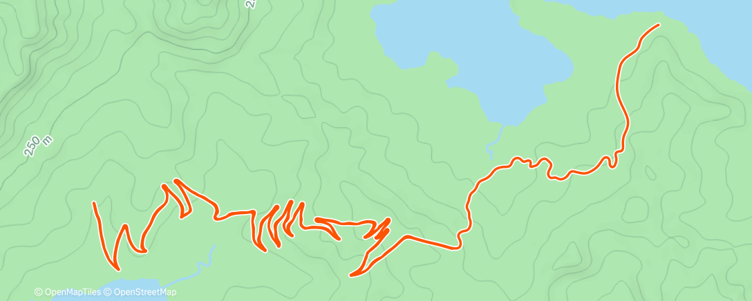 Map of the activity, Siła 5x6