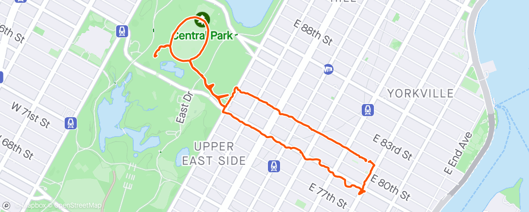 Mapa de la actividad (Last Stroll In NYC 👋🏻)